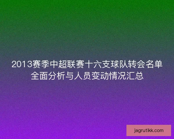 2013赛季中超联赛十六支球队转会名单全面分析与人员变动情况汇总